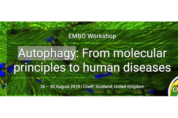 EMBO Workshop, Autophagy: From molecular principles to human diseases