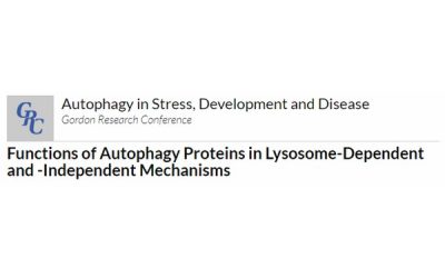 Gordon Research Conference: Autophagy in Stress, Development and Disease