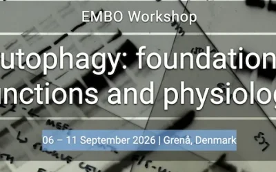 EMBO Workshop. Autophagy: foundations, functions and physiology
